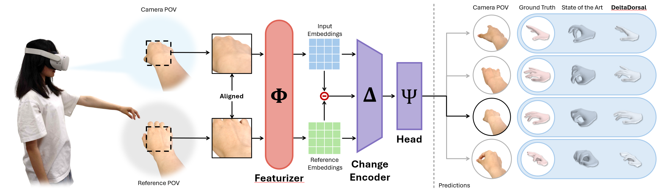 Overview figure illustrating DeltaDorsal and dorsal hand feature-based pose estimation